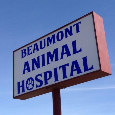 About Beaumont Animal Hospital | Vet In Beaumont, CA 92223